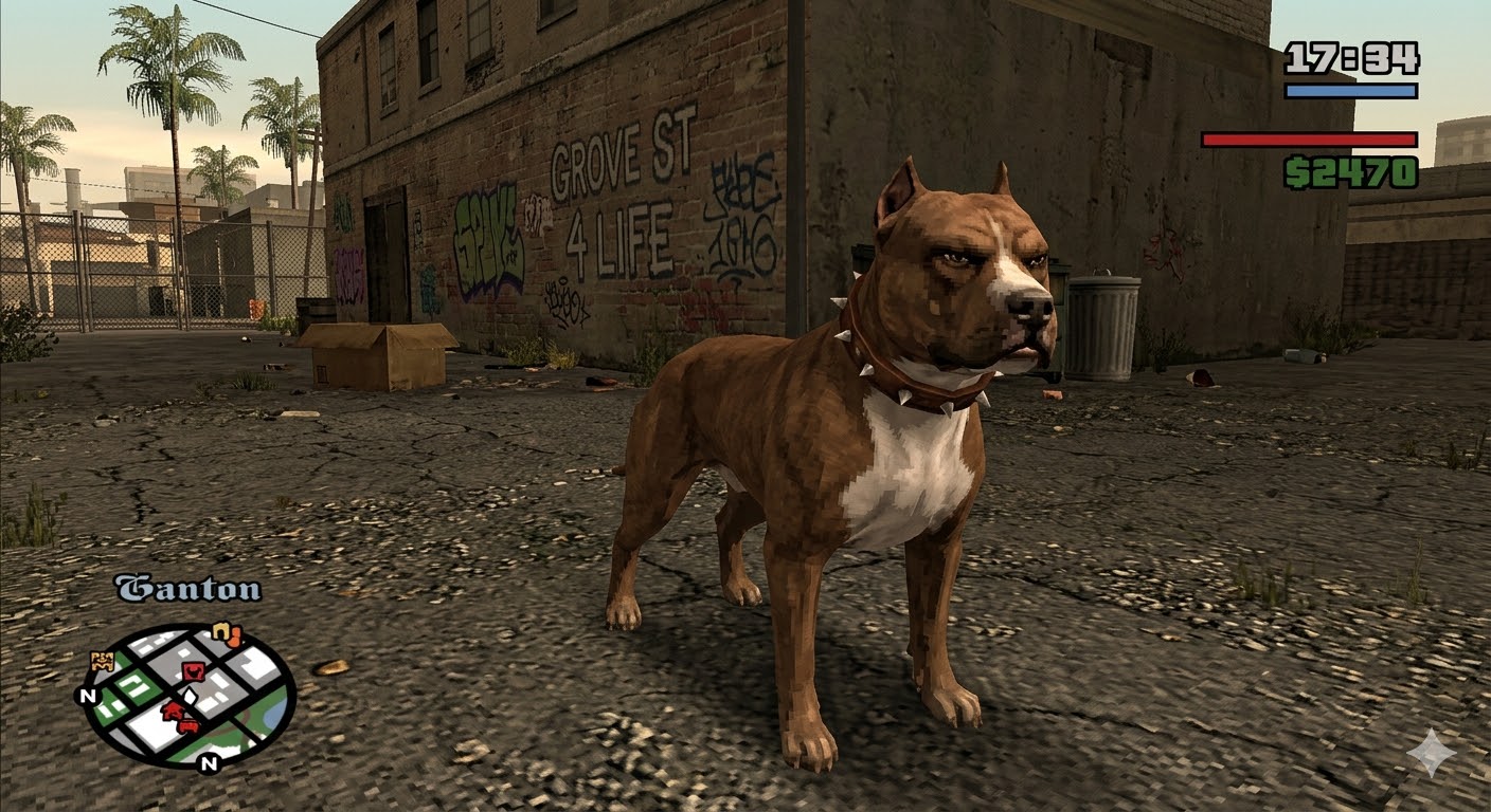 Thú cưng random đồng hành ( Chó  , mèo , pitbull )